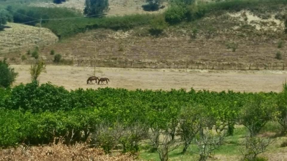La Dimora Degli Artisti Acomodação com café da manhã Catanzaro Exterior foto